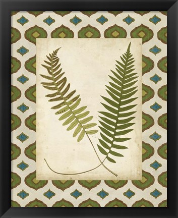 Framed Moroccan Ferns III Print