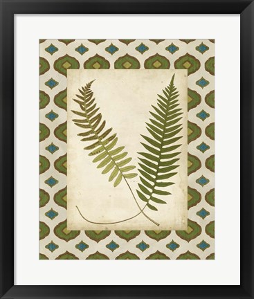Framed Moroccan Ferns III Print