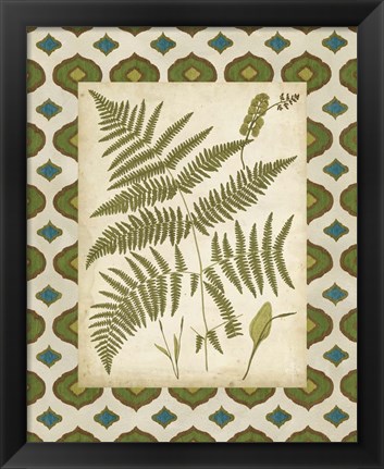 Framed Moroccan Ferns IV Print