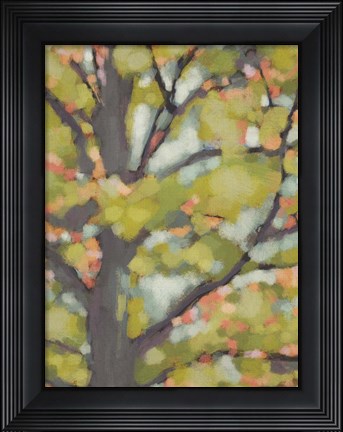 Framed Dappled Dusk II Print
