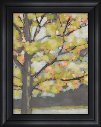 Framed Dappled Dusk III Print