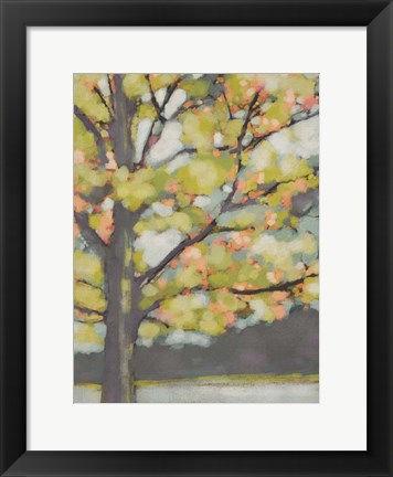 Framed Dappled Dusk III Print