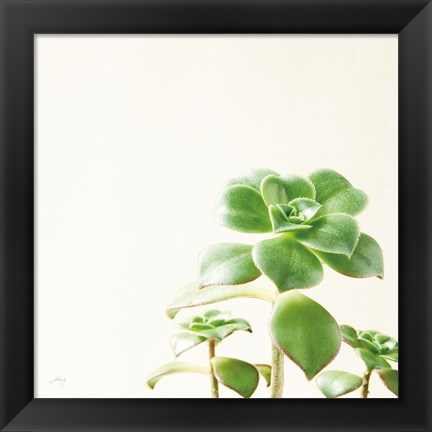 Framed Succulent Simplicity X Neutral Print