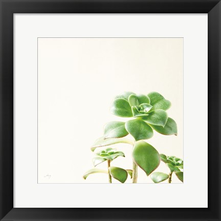 Framed Succulent Simplicity X Neutral Print