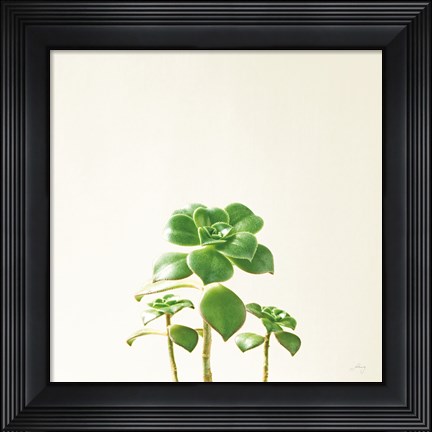 Framed Succulent Simplicity IX Neutral Print