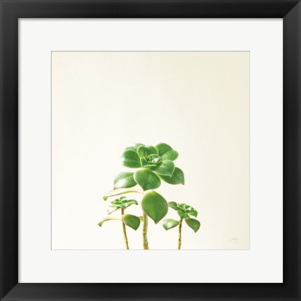 Framed Succulent Simplicity IX Neutral Print