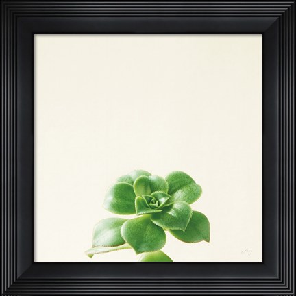 Framed Succulent Simplicity VII Neutral Print
