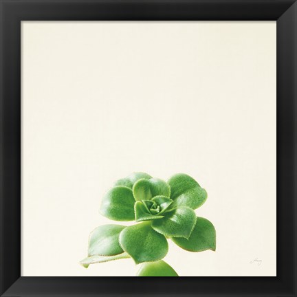 Framed Succulent Simplicity VII Neutral Print