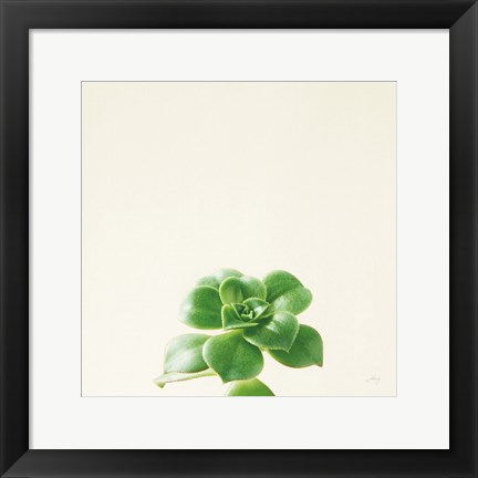 Framed Succulent Simplicity VII Neutral Print