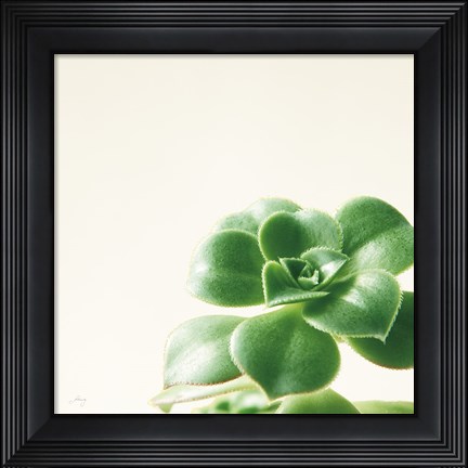 Framed Succulent Simplicity VIII Neutral Print