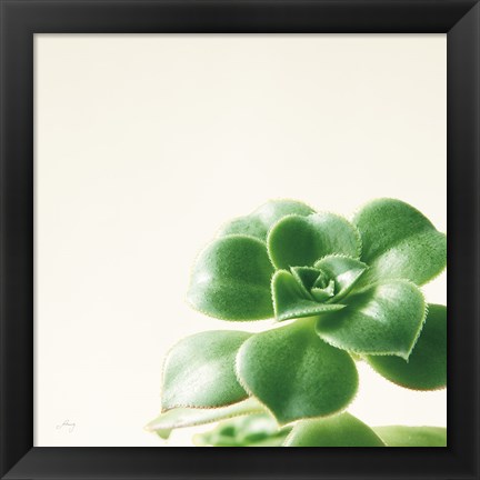 Framed Succulent Simplicity VIII Neutral Print