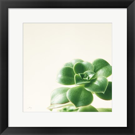 Framed Succulent Simplicity VIII Neutral Print