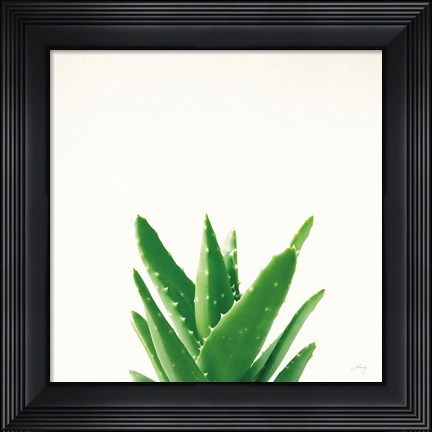 Framed Succulent Simplicity V Neutral Print