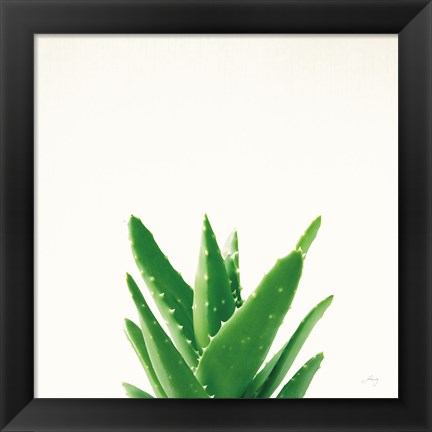 Framed Succulent Simplicity V Neutral Print