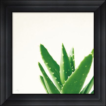 Framed Succulent Simplicity VI Neutral Print