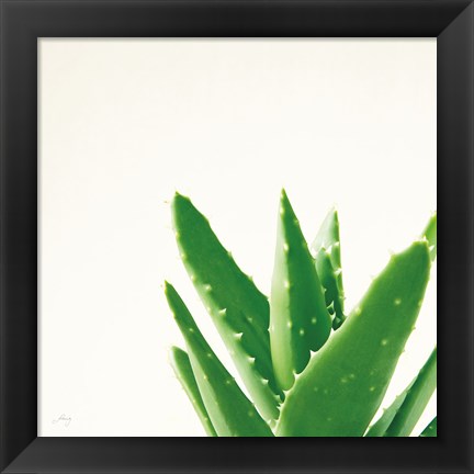 Framed Succulent Simplicity VI Neutral Print