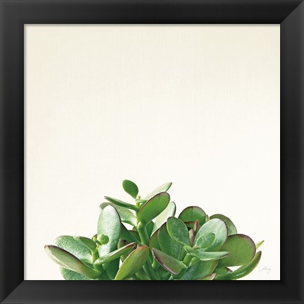 Framed Succulent Simplicity III Neutral Print