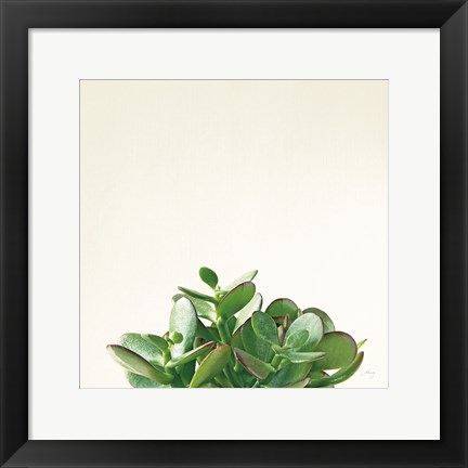 Framed Succulent Simplicity III Neutral Print