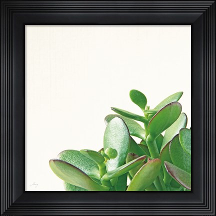 Framed Succulent Simplicity IV Neutral Print