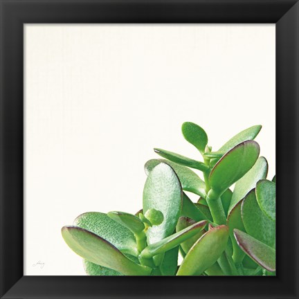 Framed Succulent Simplicity IV Neutral Print