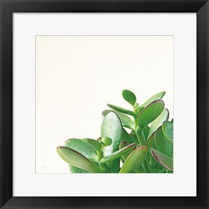 Framed Succulent Simplicity IV Neutral Print