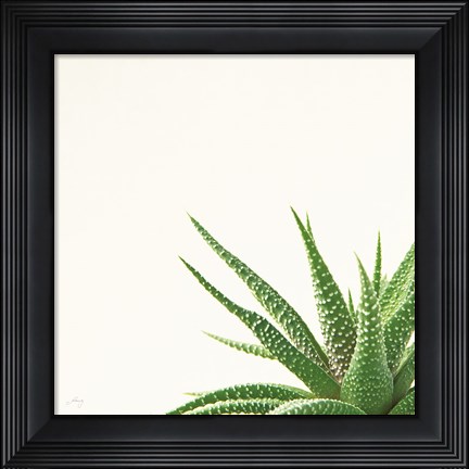 Framed Succulent Simplicity II Neutral Print