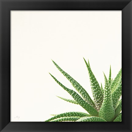 Framed Succulent Simplicity II Neutral Print