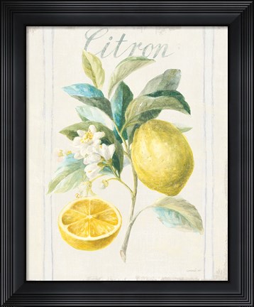 Framed Floursack Lemon IV v2 Print