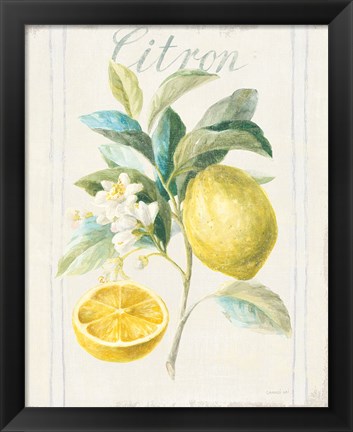 Framed Floursack Lemon IV v2 Print