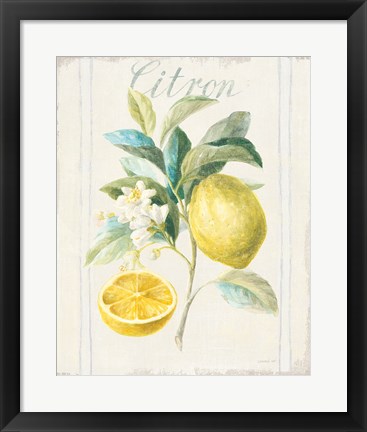 Framed Floursack Lemon IV v2 Print