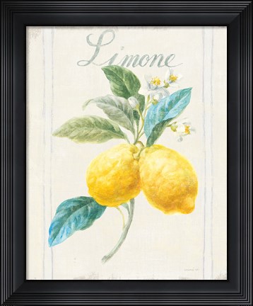 Framed Floursack Lemon III v2 Print