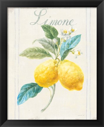 Framed Floursack Lemon III v2 Print