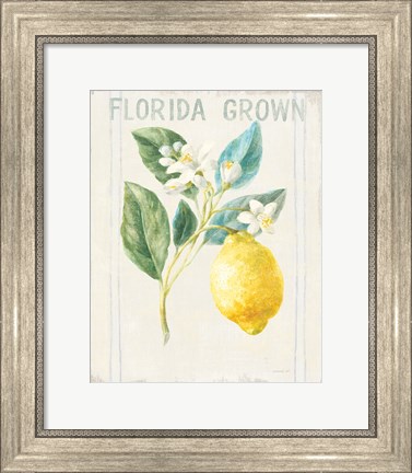 Framed Floursack Lemon I v2 Print