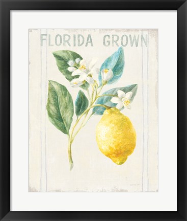 Framed Floursack Lemon I v2 Print