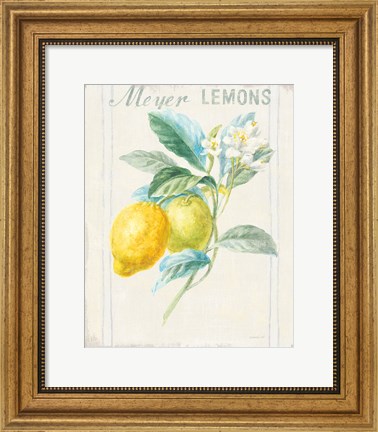 Framed Floursack Lemon II v2 Print