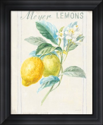 Framed Floursack Lemon II v2 Print