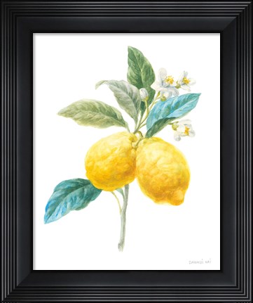 Framed Floursack Lemon IV on White Print