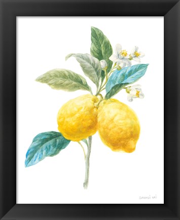 Framed Floursack Lemon IV on White Print