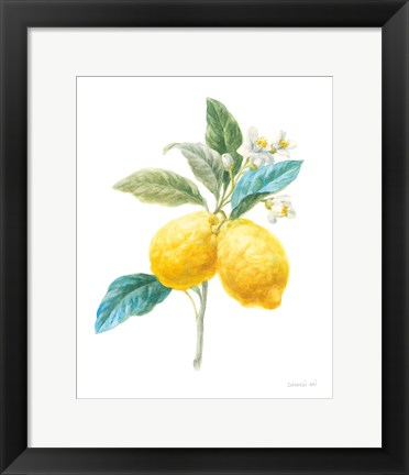 Framed Floursack Lemon IV on White Print