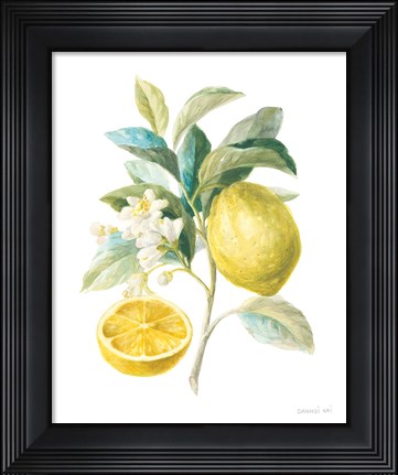 Framed Floursack Lemon III on White Print
