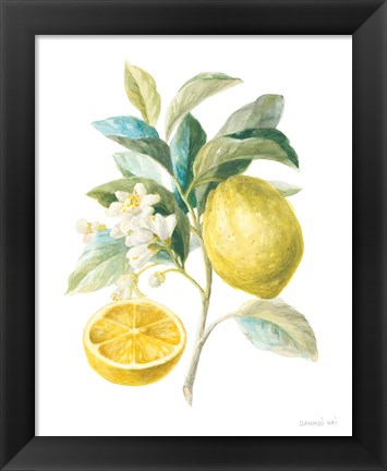 Framed Floursack Lemon III on White Print