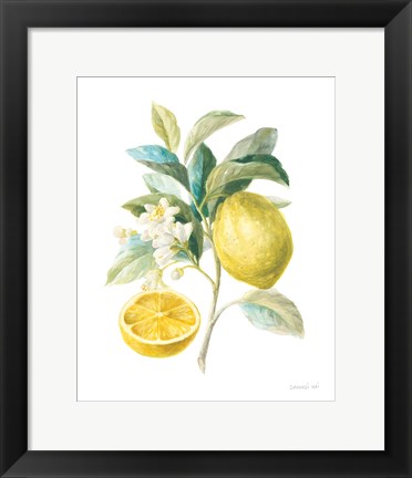 Framed Floursack Lemon III on White Print