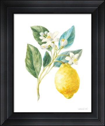 Framed Floursack Lemon I on White Print
