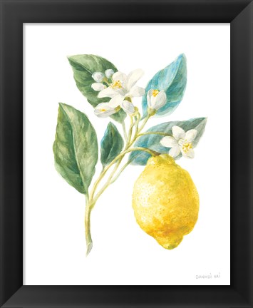 Framed Floursack Lemon I on White Print