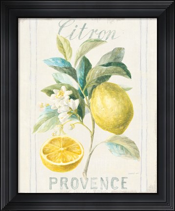 Framed Floursack Lemon IV Print