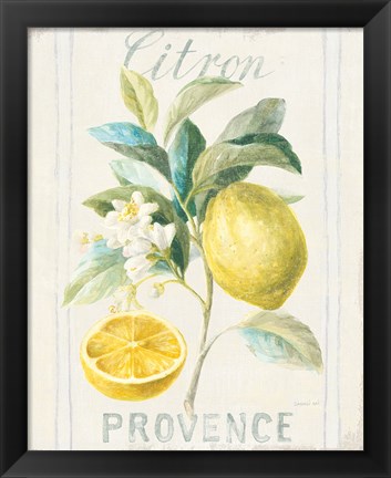 Framed Floursack Lemon IV Print