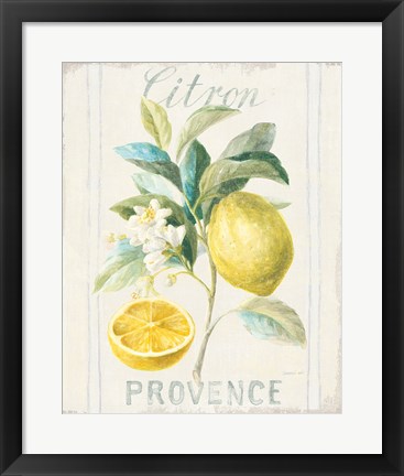 Framed Floursack Lemon IV Print