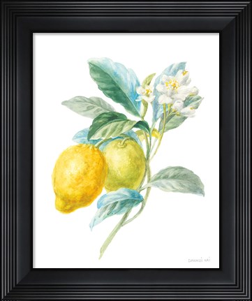 Framed Floursack Lemon II on White Print