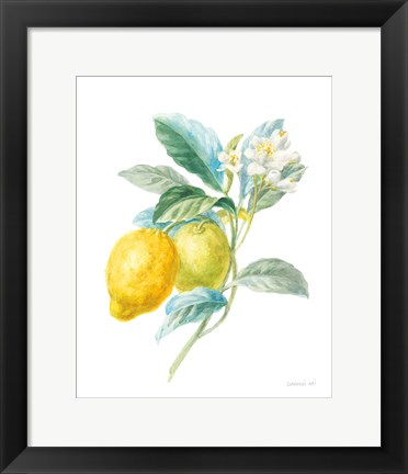 Framed Floursack Lemon II on White Print