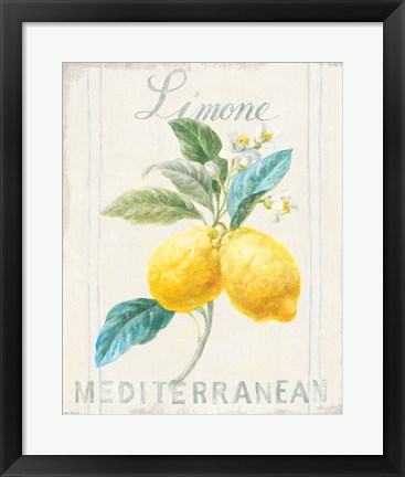 Framed Floursack Lemon III Print